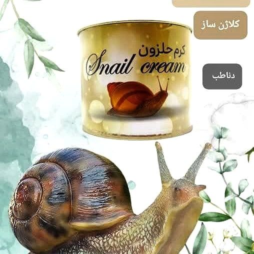 کرم   حلزون طلایی قوی ترین کرم کلاژن ایران