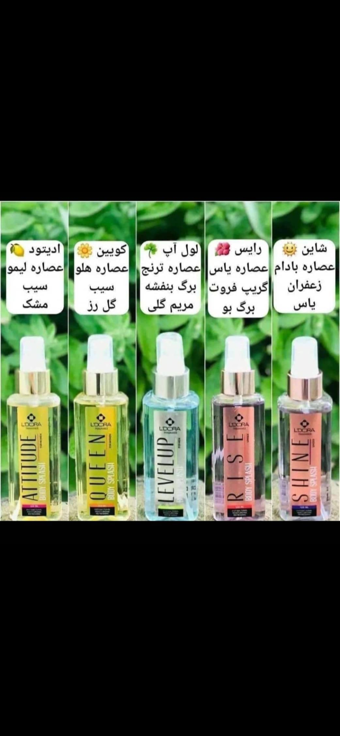 بادی اسپلش