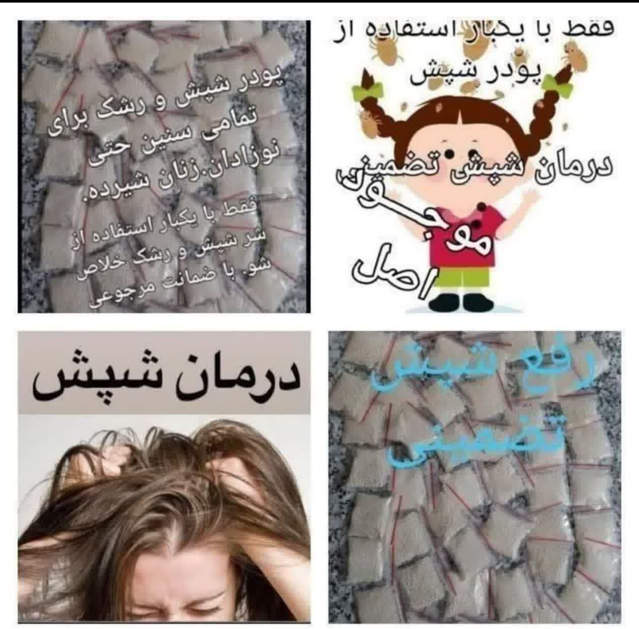 پودر شپش