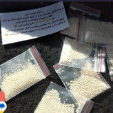 پودر شپش اصل هندی